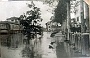 Alluvione 1905  Riviera Mussato (Fabio Fusar)